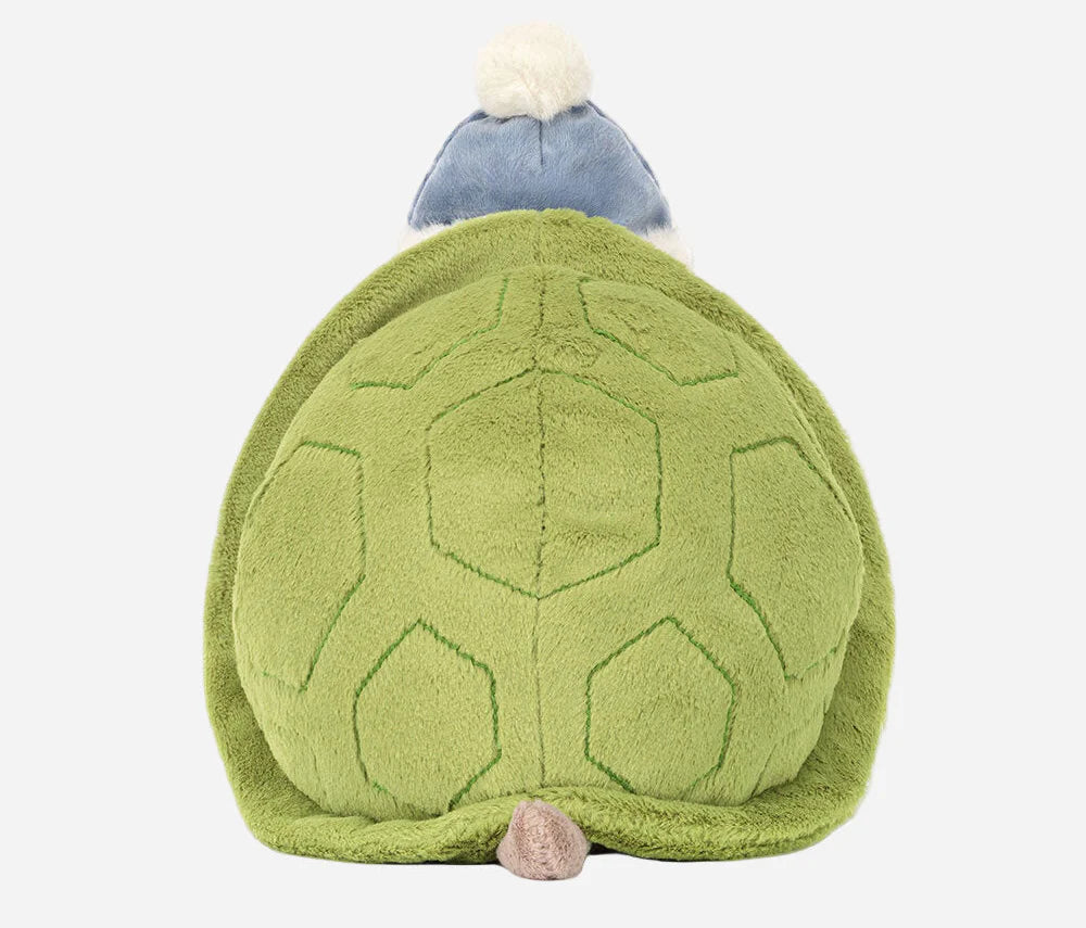 Timmy Turtle